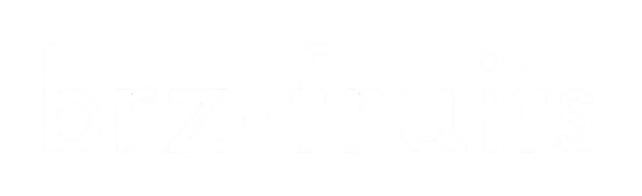 Logo BRZ